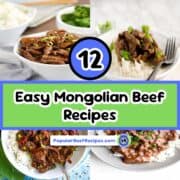 Delicious Mongolian beef served with rice, garnished with green onions, perfect for quick and easy m.
