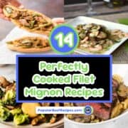 Delicious filet mignon dishes perfect for special occasions and gourmet meals.