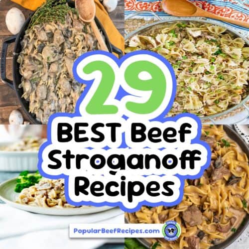 Delicious beef stroganoff dishes with creamy sauces and tender beef cuts.